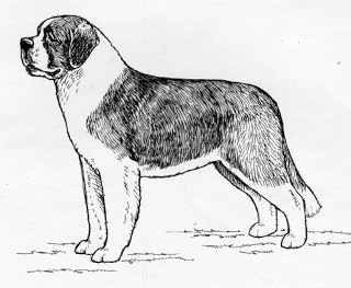 320x263 Brandykegs September 2011