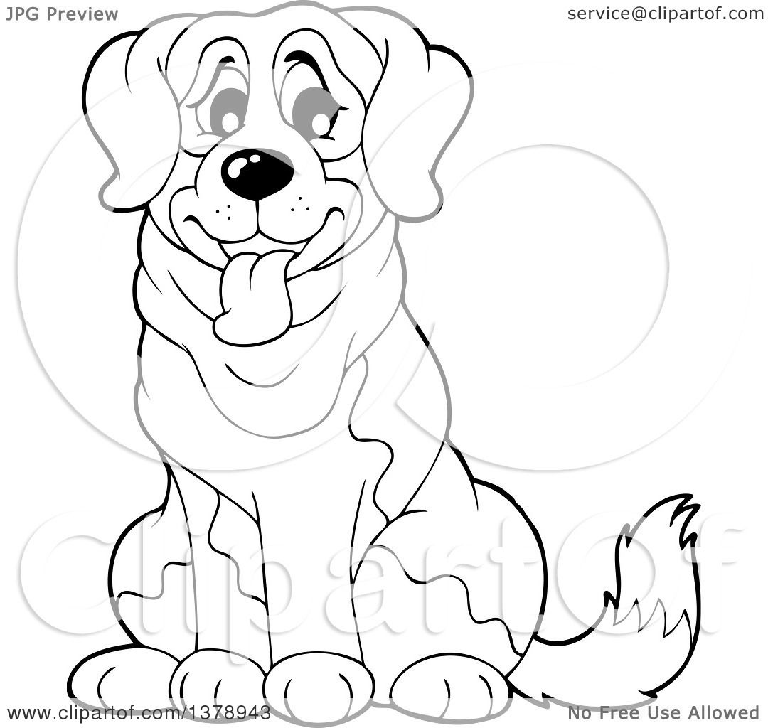 1080x1024 Clipart Of A Black And White St Bernard Dog