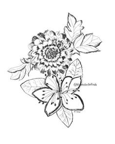 236x295 Landscape Pencil Sketch, Tree Drawing, Print Of Original Graphite