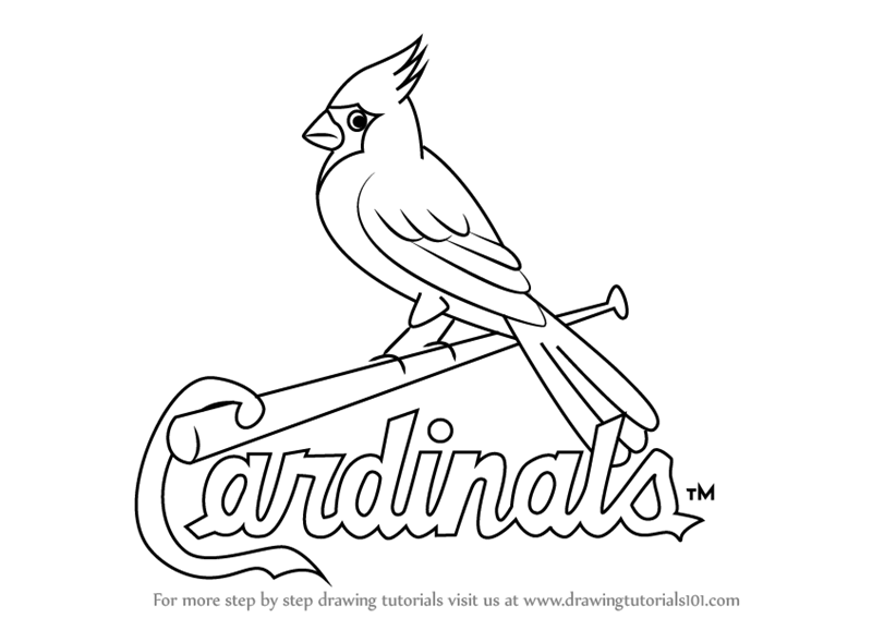 800x567 Learn How To Draw St. Louis Cardinals Logo (Mlb) Step By Step