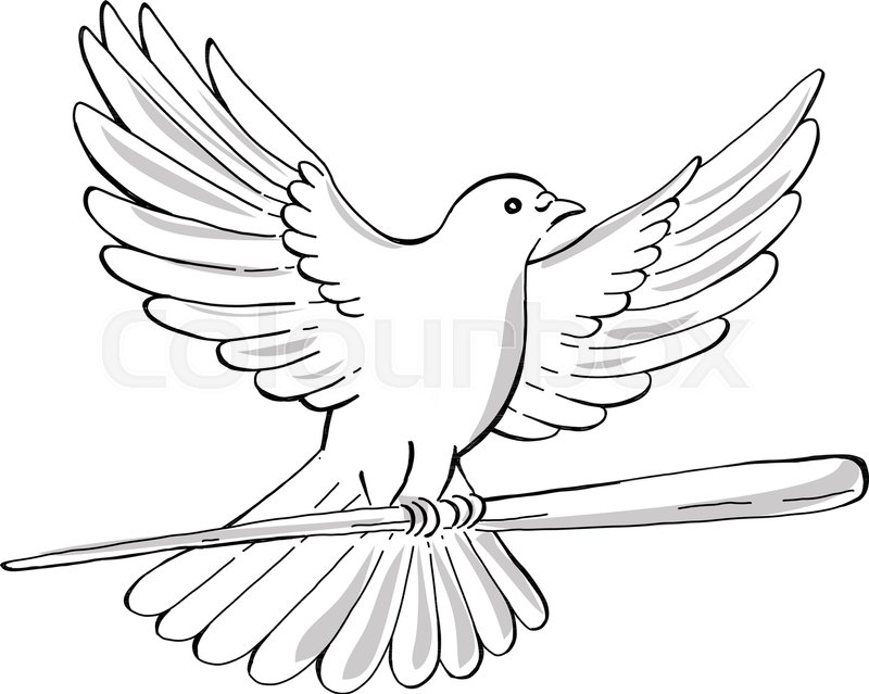 800x639 Drawing Sketch Style Illustration Of A Soaring Dove Or Pigeon