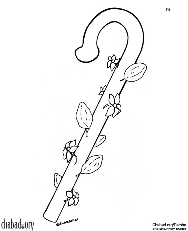 600x740 Staff Coloring Pages