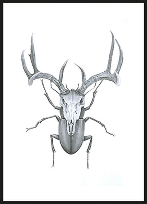 472x657 Sanna Wieslander