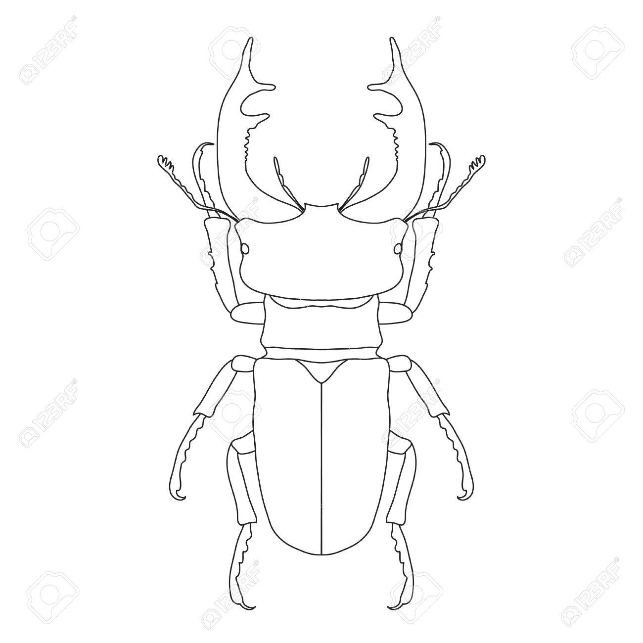Download The best free Beetle drawing images. Download from 602 ...