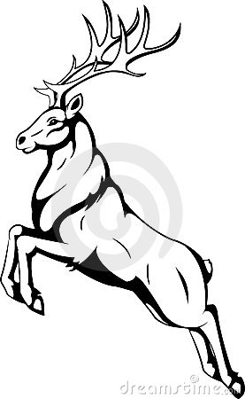 277x450 Image Result For Stag Drawing Running Other
