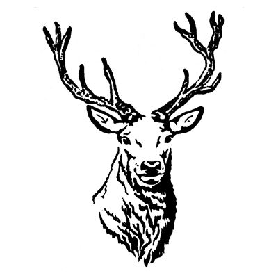 400x400 Stag In Christmas Collection