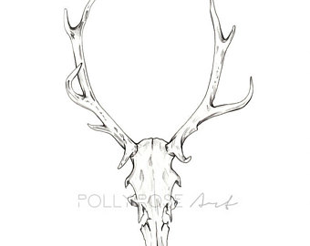 340x270 Stag Skull Etsy