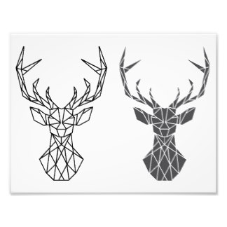 324x324 Stags Head Art Amp Framed Artwork Zazzle