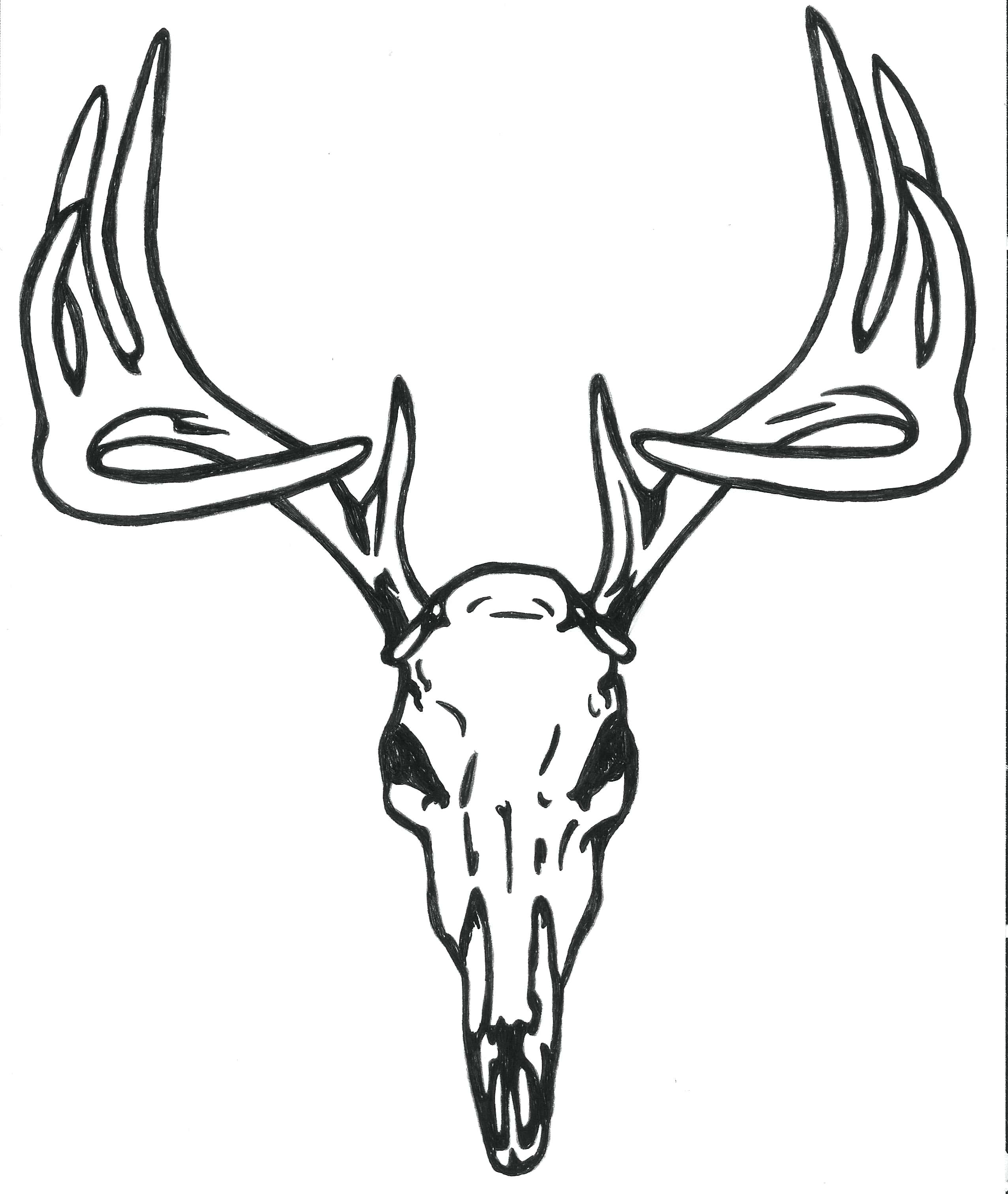 2552x3023 Coloring Deer Head Coloring Pages On Skull Logo Face. Deer Head