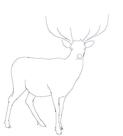 400x440 Deer Head Coloring Pages Reindeer Deer Head Outline Coloring Page