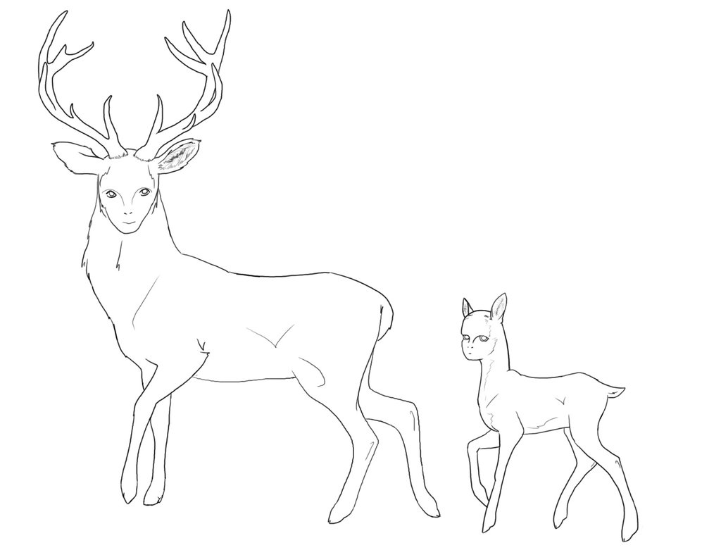 1024x781 Endless Stag And Fawn By Bored Dog