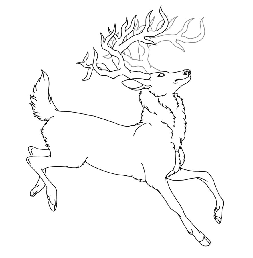 884x903 Free Stag Lineart Redone By Rizaharmona