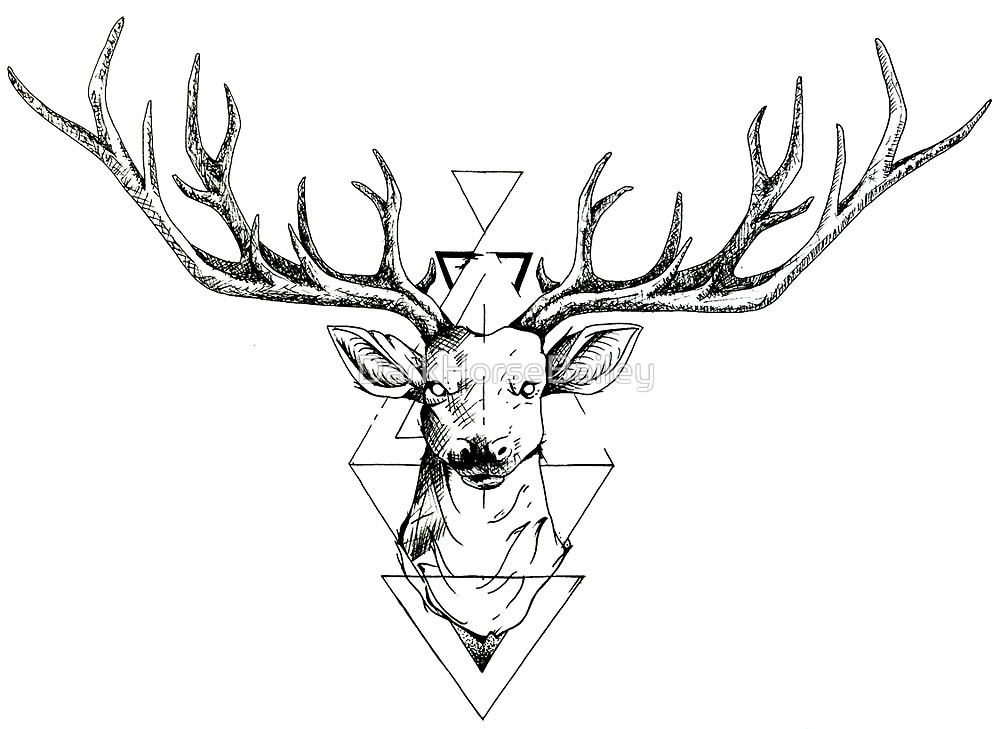 Stag Line Drawing at GetDrawings | Free download