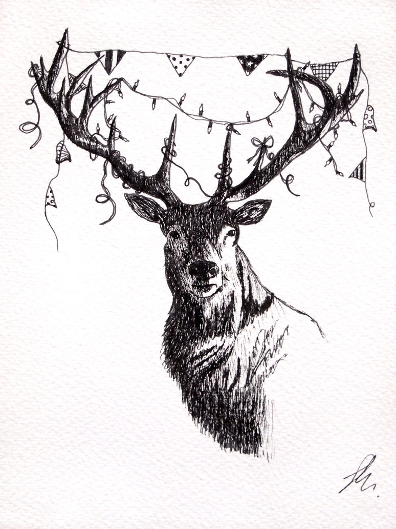 774x1032 Party Animal