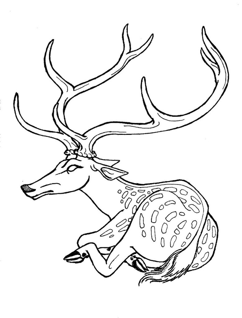 780x1024 The Stag, Line Version By The Darkwolf