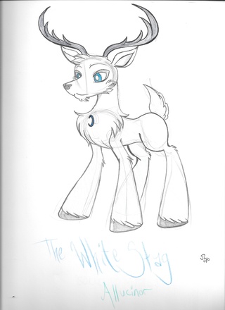 320x440 Stag Drawings On Paigeeworld. Pictures Of Stag