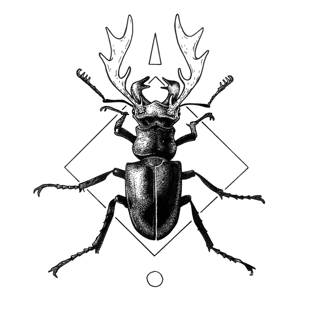 1000x1000 Bugs Amp Bones Hatch