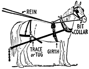 300x234 Horse Harness