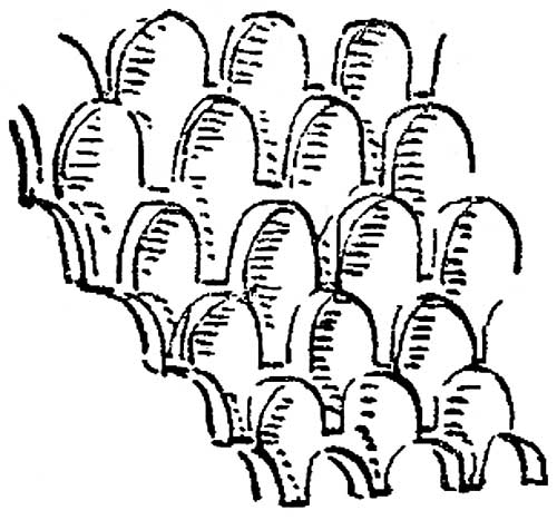 500x467 Islamic Architecture