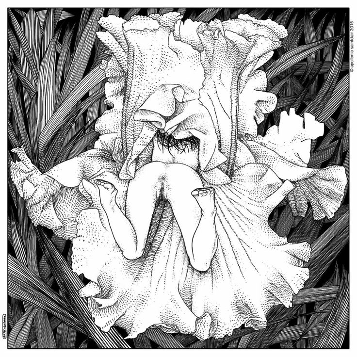 736x736 9 Best Apollonia Saintclair Images On Erotic Art, Art