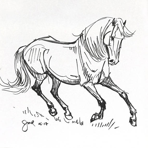 570x571 Horse Art Original Cantering In The Grass Pen Amp