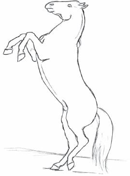 269x364 Project 16 Lipizzaner Stallion