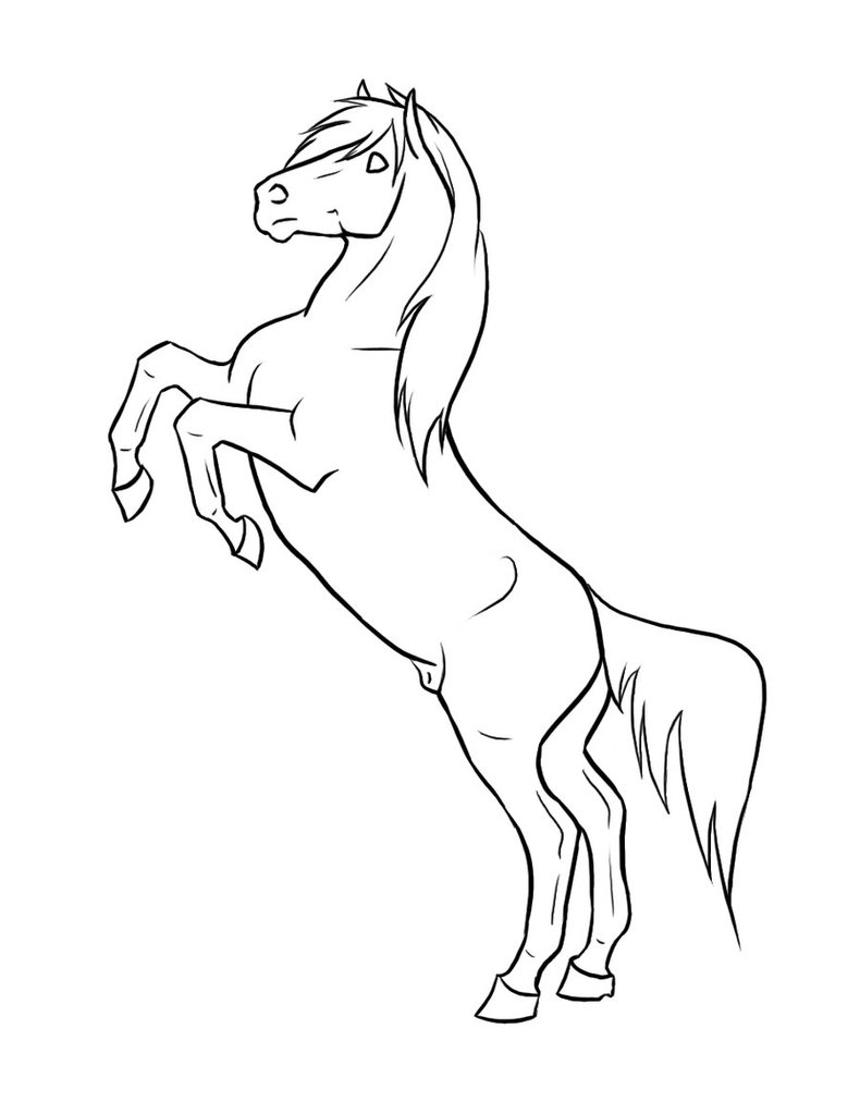 790x1012 Rearing Stallion Drawings Mustang Drawings