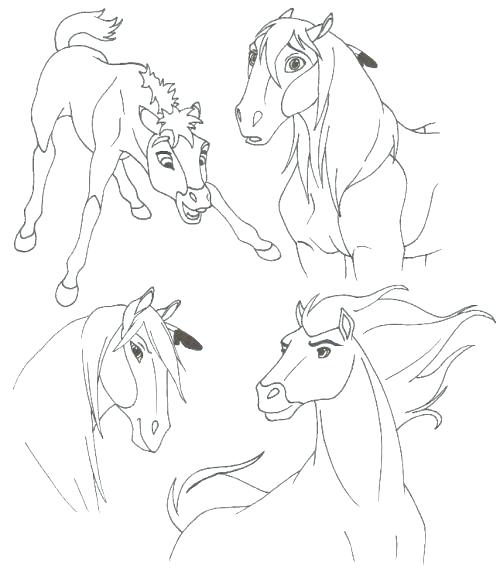 500x572 Spirit Stallion Of The Cimarron Coloring Pages Rain Lovely In Site