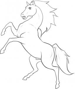 255x302 How To Draw A Stallion How To Draw Animals