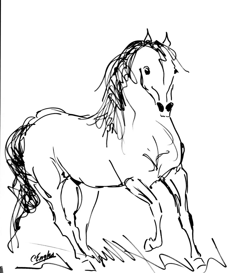 800x948 Carol Engles Art Cantering Stallion One, Equine Ink Drawing By