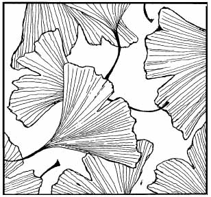 308x288 Art Rubber Stamps With Original Designs From Stamp Zia Rubber