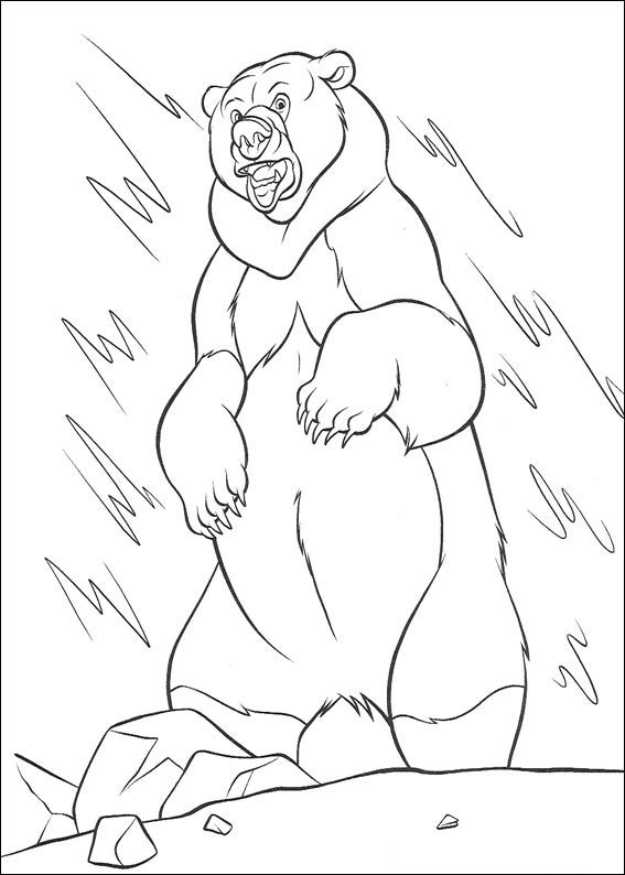 567x794 Brother Bear 5 Coloring Page