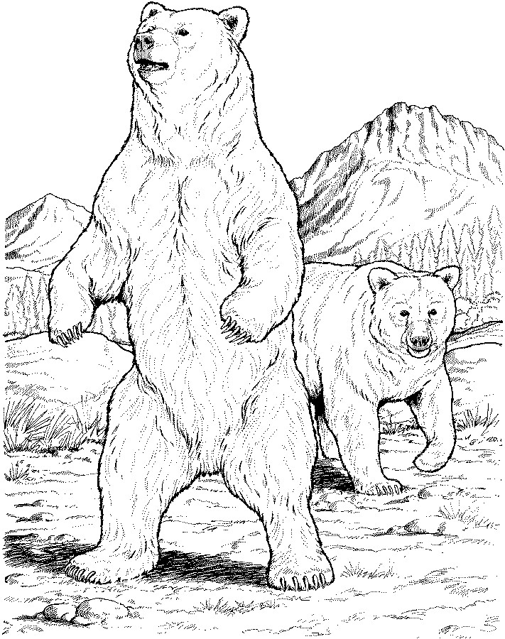 711x900 Animal Coloring Pages Children's Best Activities