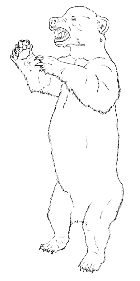 450x903 A Bear Standing Up Colouring Pages Drawing Ideas