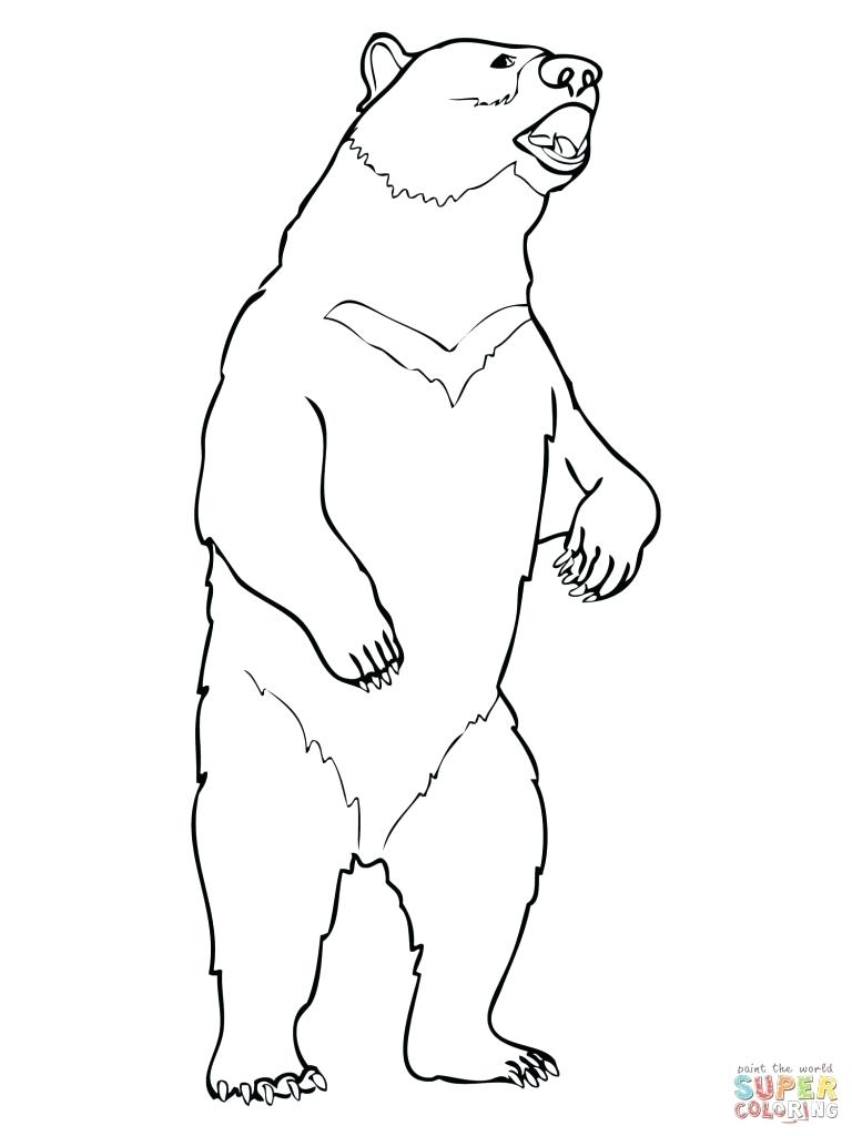 768x1024 Coloring Grizzly Bear Coloring Page Marvelous Wolf Pages