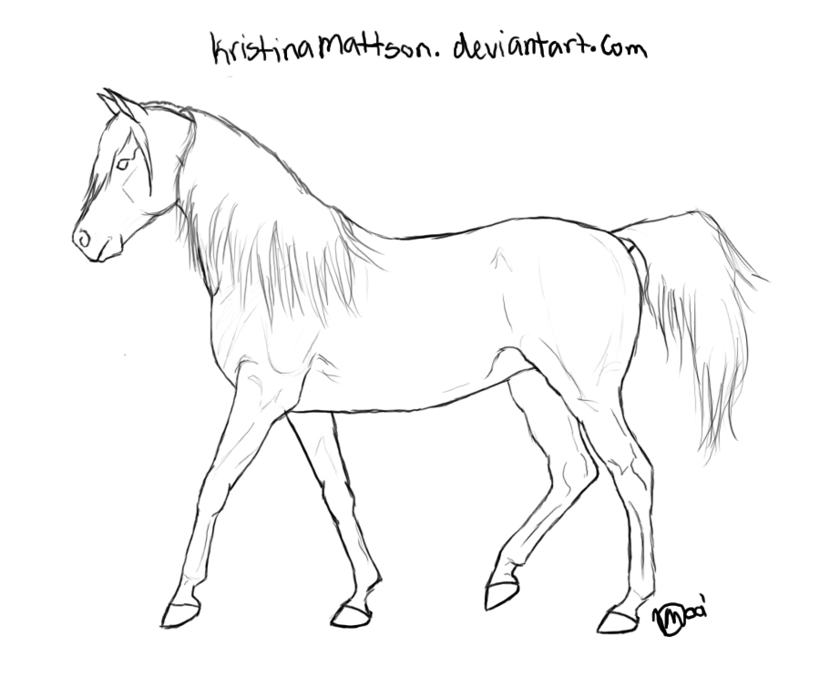 Standing Horse Drawing at Free for