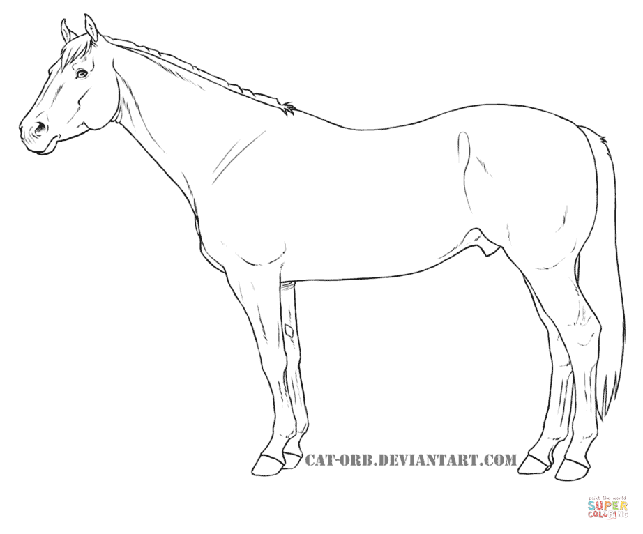 922x766 Quarter Horse Coloring Page Free Printable Coloring Pages