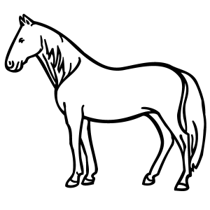 300x300 Standing Horse Coloring Page