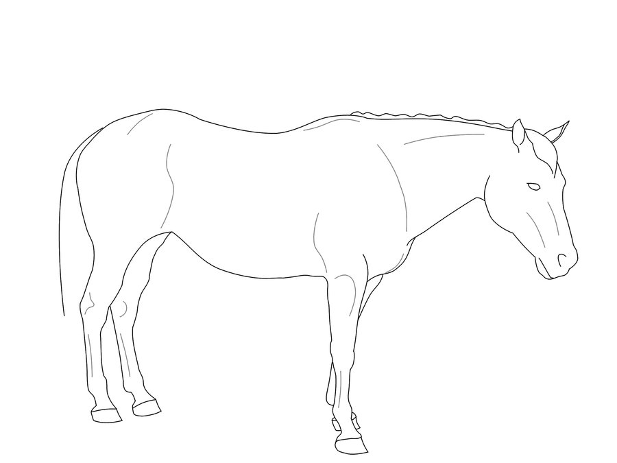 900x675 Standing Horse Line Art By Exotic011
