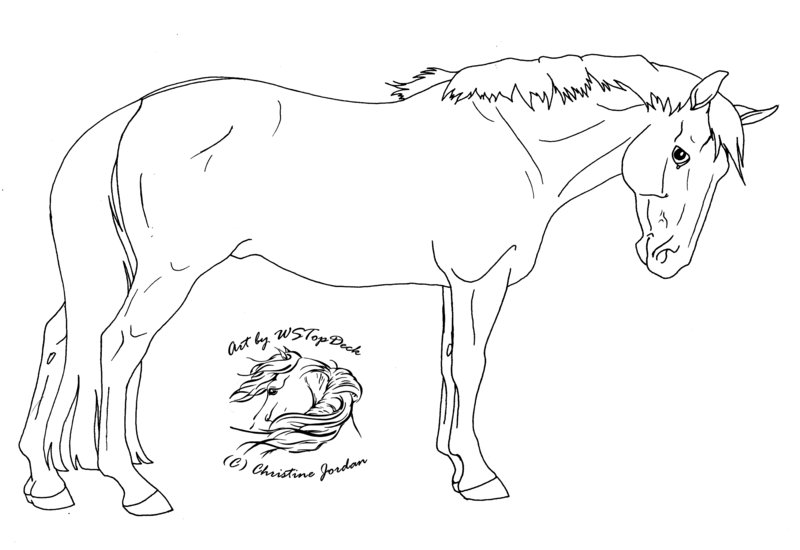 800x550 Standing Horse Lineart Da Use By Wstopdeck