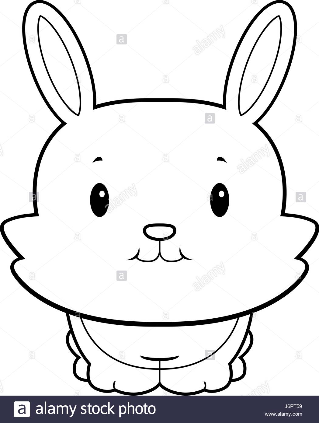 1049x1390 Baby Bunny Black And White Stock Photos Amp Images