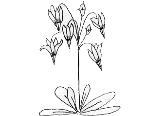 300x238 Kids On Line Workshop