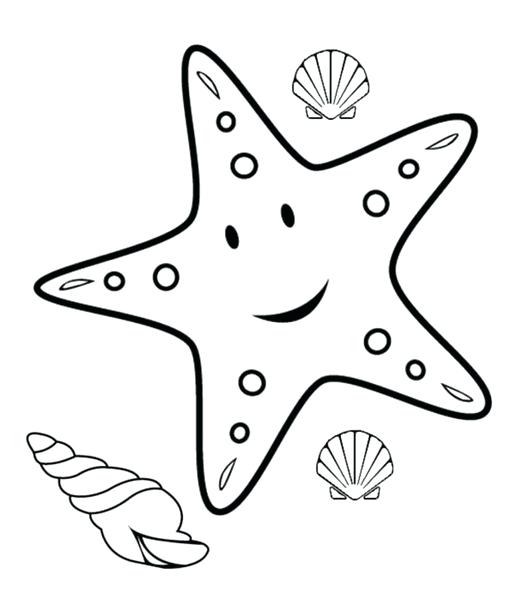 515x600 Star Fish Coloring Page Star Fish Coloring Page Starfish Learning
