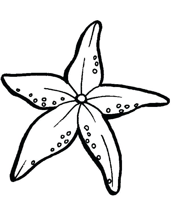 600x756 Starfish Coloring Pages Starfish Coloring Pages Star Coloring