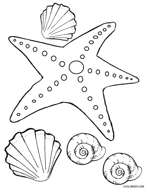 614x794 Starfish Pictures To Color Starfish Coloring Page For Kids