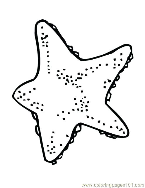 495x640 Starfish Pictures Color Starfish With Big Eyes Coloring Page