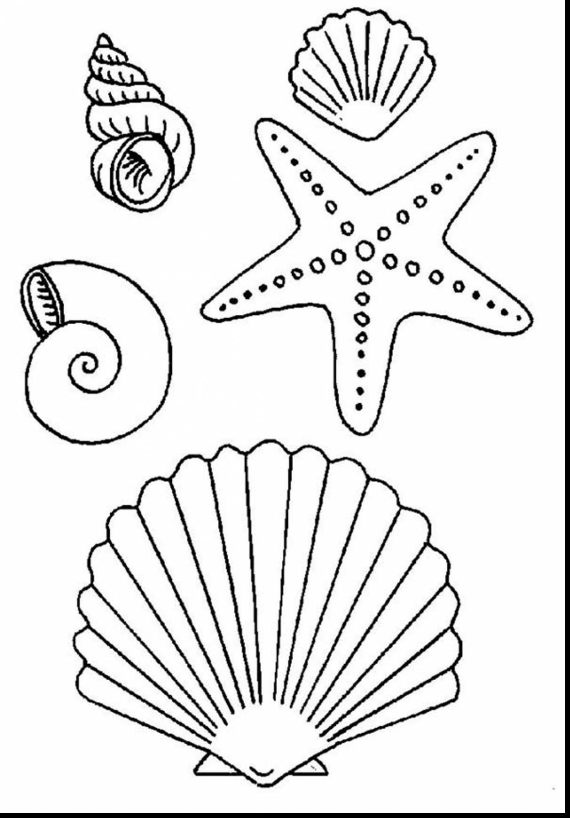 1174x1686 Awesome Sea Shell Clip Art With Starfish Coloring Page