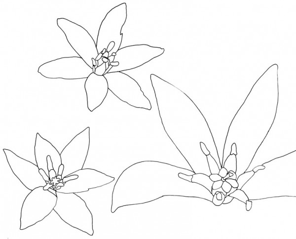 600x484 Alessandra Spada Ex M