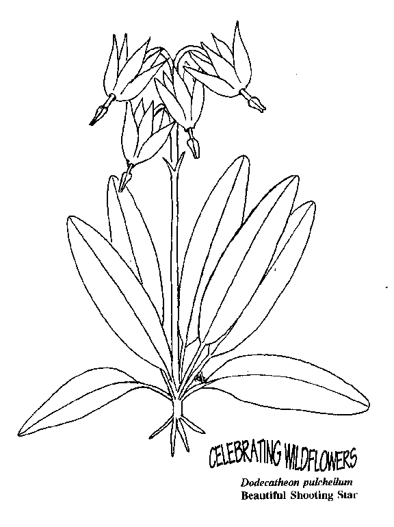 576x770 Umatilla National Forest