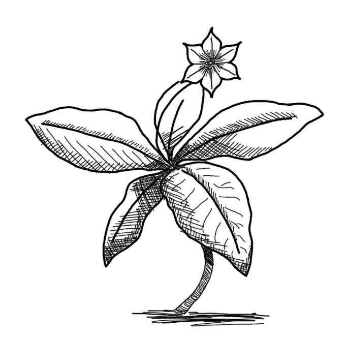 681x667 Welcome To Loop C Page 2